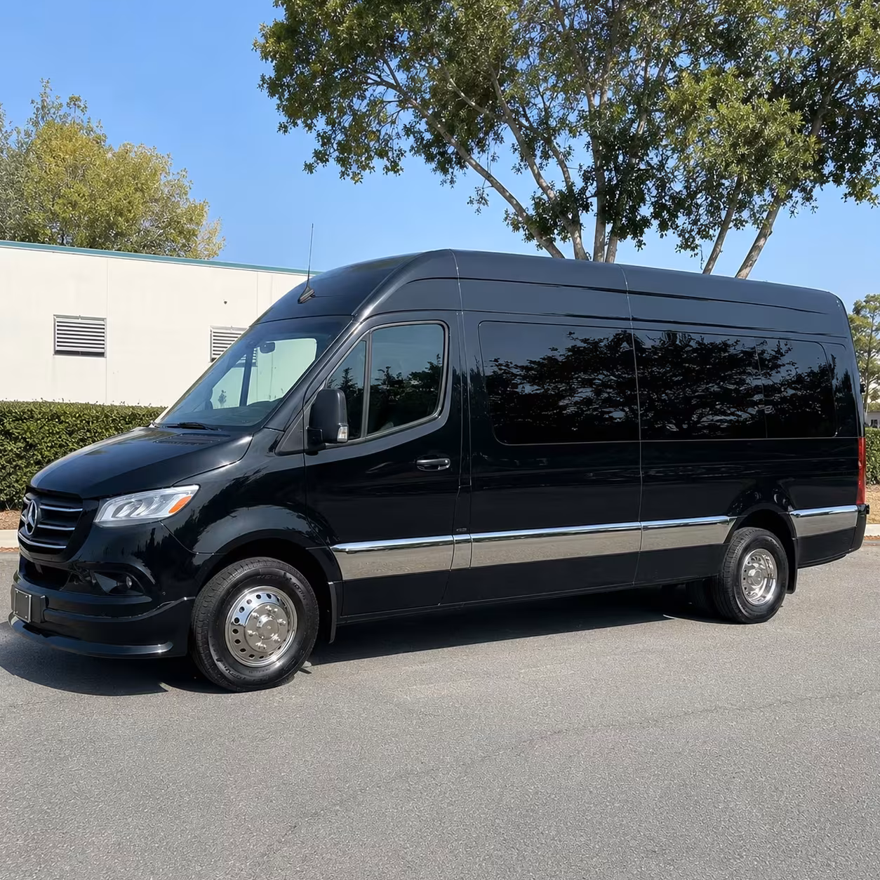 sprinter van with driver