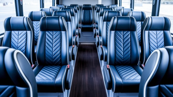carlsbad 18 passenger minibus rental
