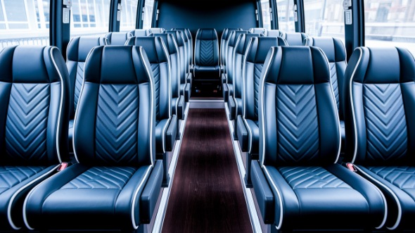 carlsbad 20 passenger minibus rental