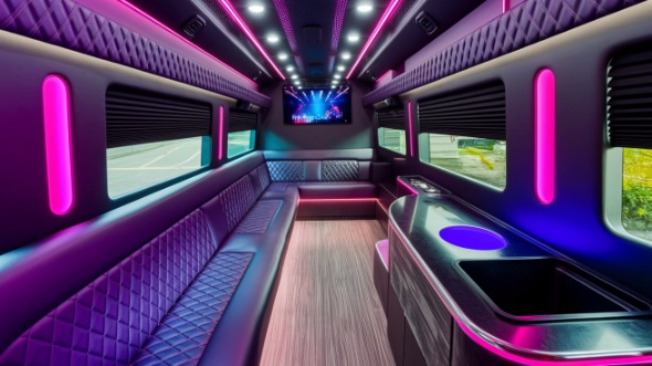 carlsbad sprinter limo rental inside