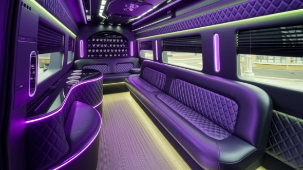 carlsbad sprinter limo rental rental